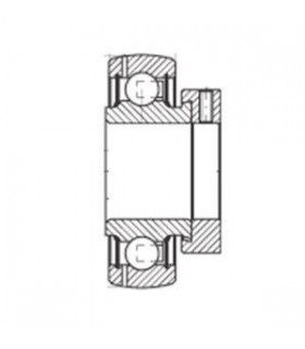 Varios - RODAMIENTO INA GRAE25-NPP-B