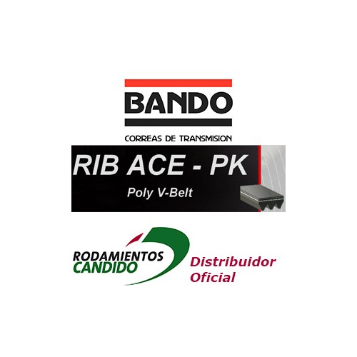 Correas de transmisión - CORREA DENTADA ACANALADA POLY-V 3PK1015